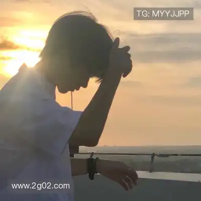 蓬盈晓
